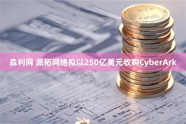 森利网 派拓网络拟以250亿美元收购CyberArk