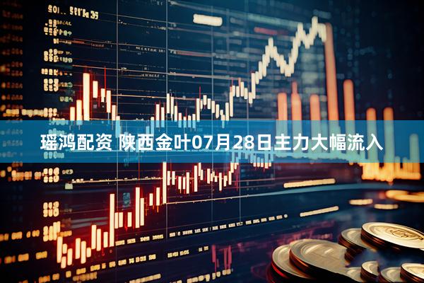 瑶鸿配资 陕西金叶07月28日主力大幅流入