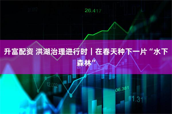 升富配资 洪湖治理进行时｜在春天种下一片“水下森林”