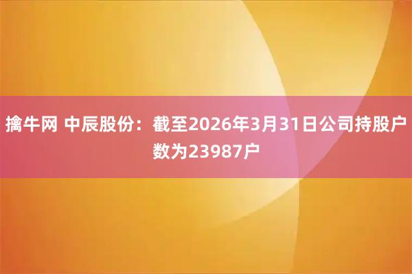 擒牛网 中辰股份：截至2026年3月31日公司持股户数为23987户
